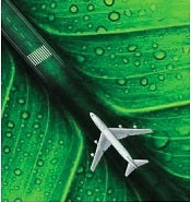 Environment - Окружающая среда