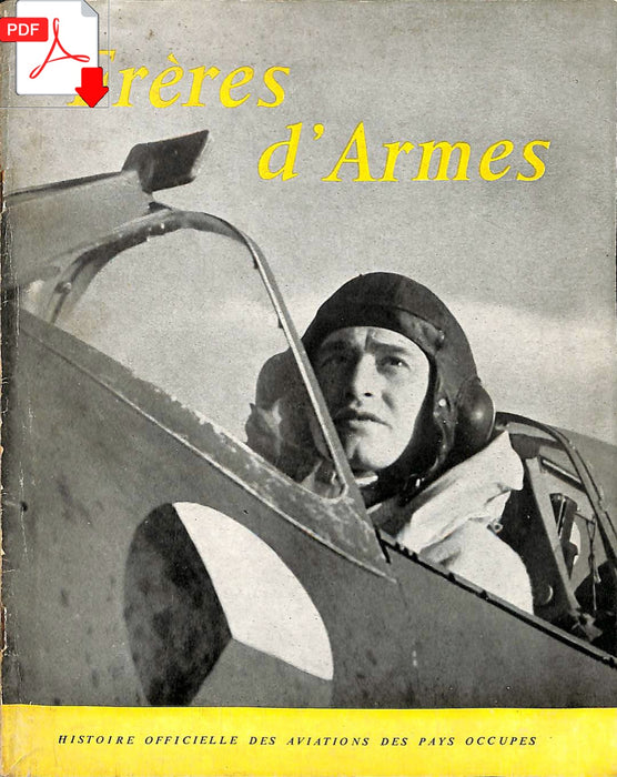 Frères d'armes - Histoire officielles des aviations des pays occupés (1941)(ebook)