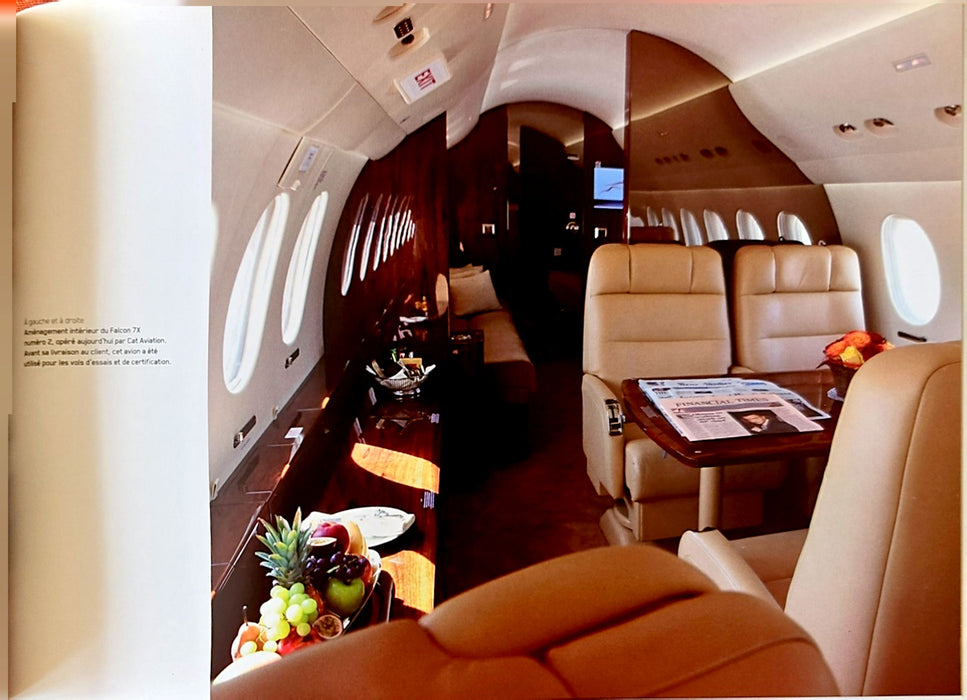 Beniada Feldzer - Falcon 7X (2010)(print)