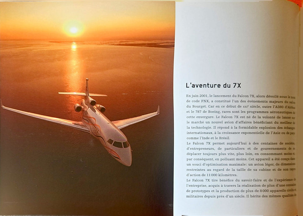 Beniada Feldzer - Falcon 7X (2010)(print)