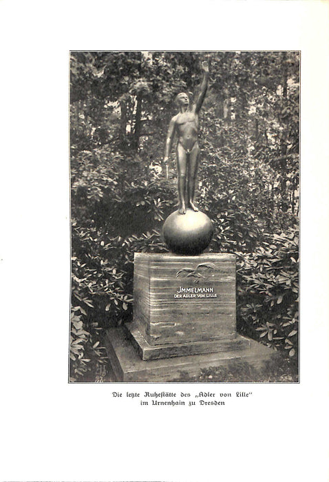 Immelman, der Adler von Lille (1934) (édition numérique)