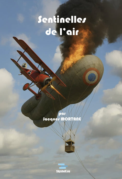 Mortane, Jacques - Sentinelles de l'air (édition imprimée)