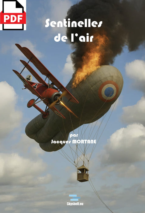 Mortane, Jacques - Sentinelles de l'air (édition numérique)