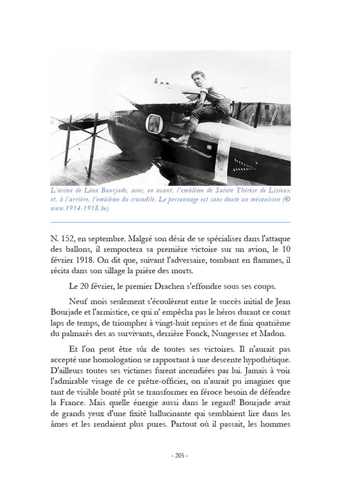 Mortane, Jacques - Sentinelles de l'air (édition numérique)