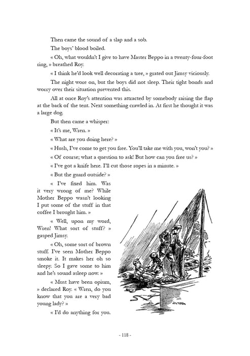 Burnham, Margaret - The Girl Aviators' Motor Butterfly (1911) (ebook)