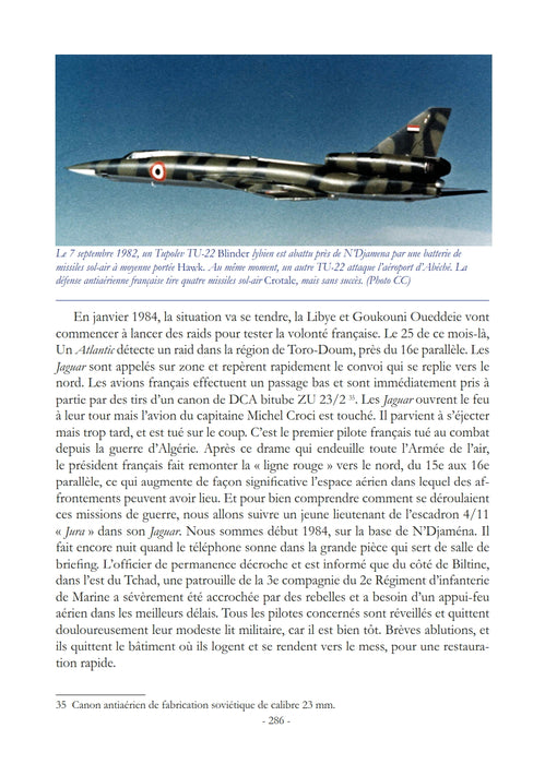 Boscardin, Philippe - Ailes de guerre & ailes d'espoir (imprimé)