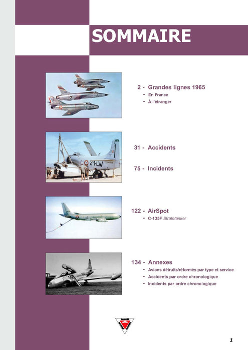 Aircrash, jahr 1965 (Ebook)