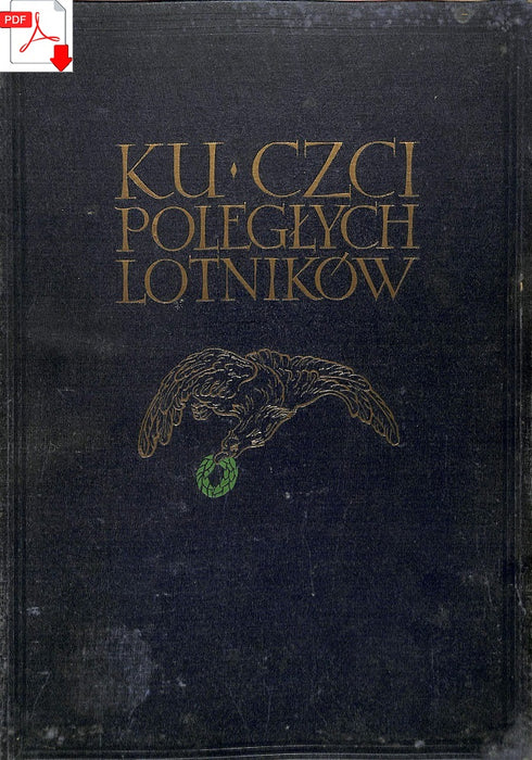 Historia polskiego lotnictwa 1909-1933 Histoire de l'aviation polonaise (ebook)