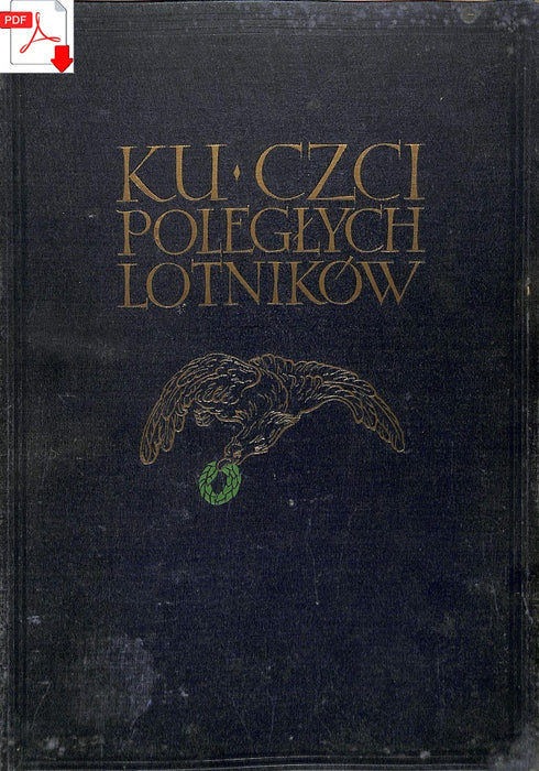 Historia polskiego lotnictwa 1909-1933 Polish Aviation History